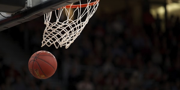 NBA 美国职业篮球联赛合作标识